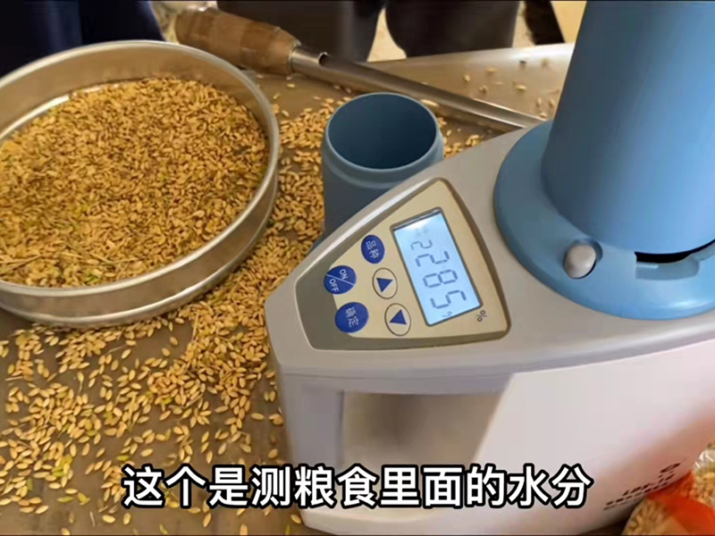 糧食水分測(cè)量儀輔助糧食收購