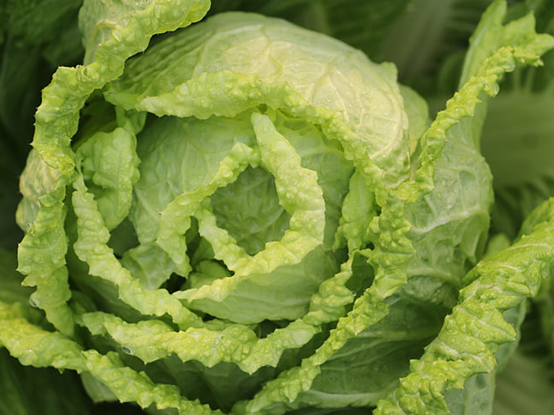 怎樣可以檢測(cè)小白菜中農(nóng)藥殘留是否超標(biāo)？