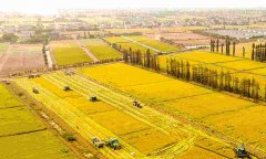 蔬菜農(nóng)藥殘留檢測儀怎么樣？