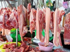 肉類水分測(cè)定儀的類型和原理