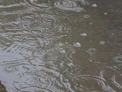 雨量監(jiān)測儀，提供雨量原始數(shù)據(jù)