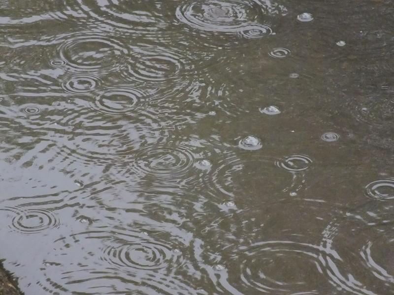 雨量監(jiān)測儀，提供雨量原始數(shù)據(jù)