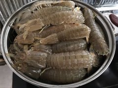 皮皮蝦中為什么會(huì)被檢測(cè)出鎘超標(biāo)？