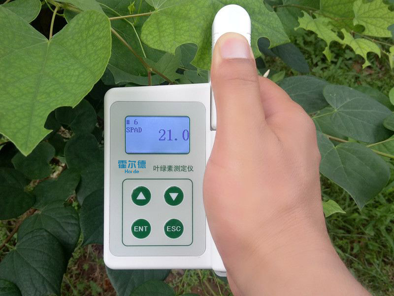 葉綠素含量測(cè)量?jī)x，可用于植物施肥的依據(jù)
